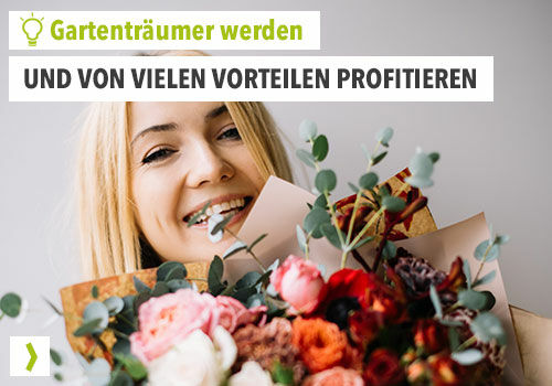 Gartenträumer werden