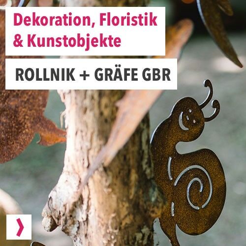 Rollnik + Gräfe GBR