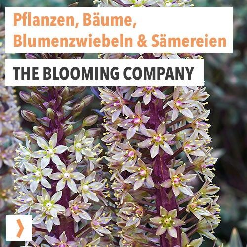 The Blooming Company