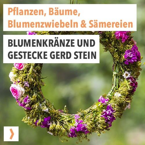 Blumenkränze und Gestecke Gerd Stein