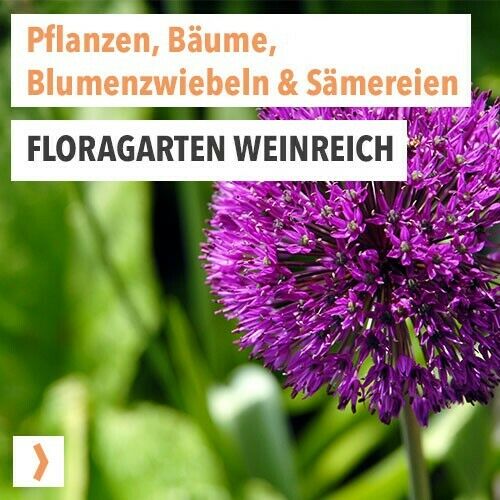 Floragarten Weinreich