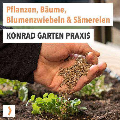 Konrad Garten Praxis