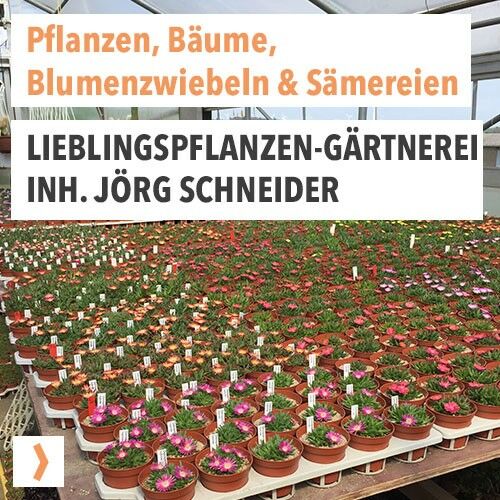 Lieblingspflanzen-Gärtnerei, Inh. Jörg Schneider