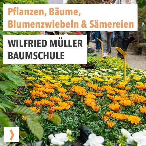 Wilfried Müller Baumschule